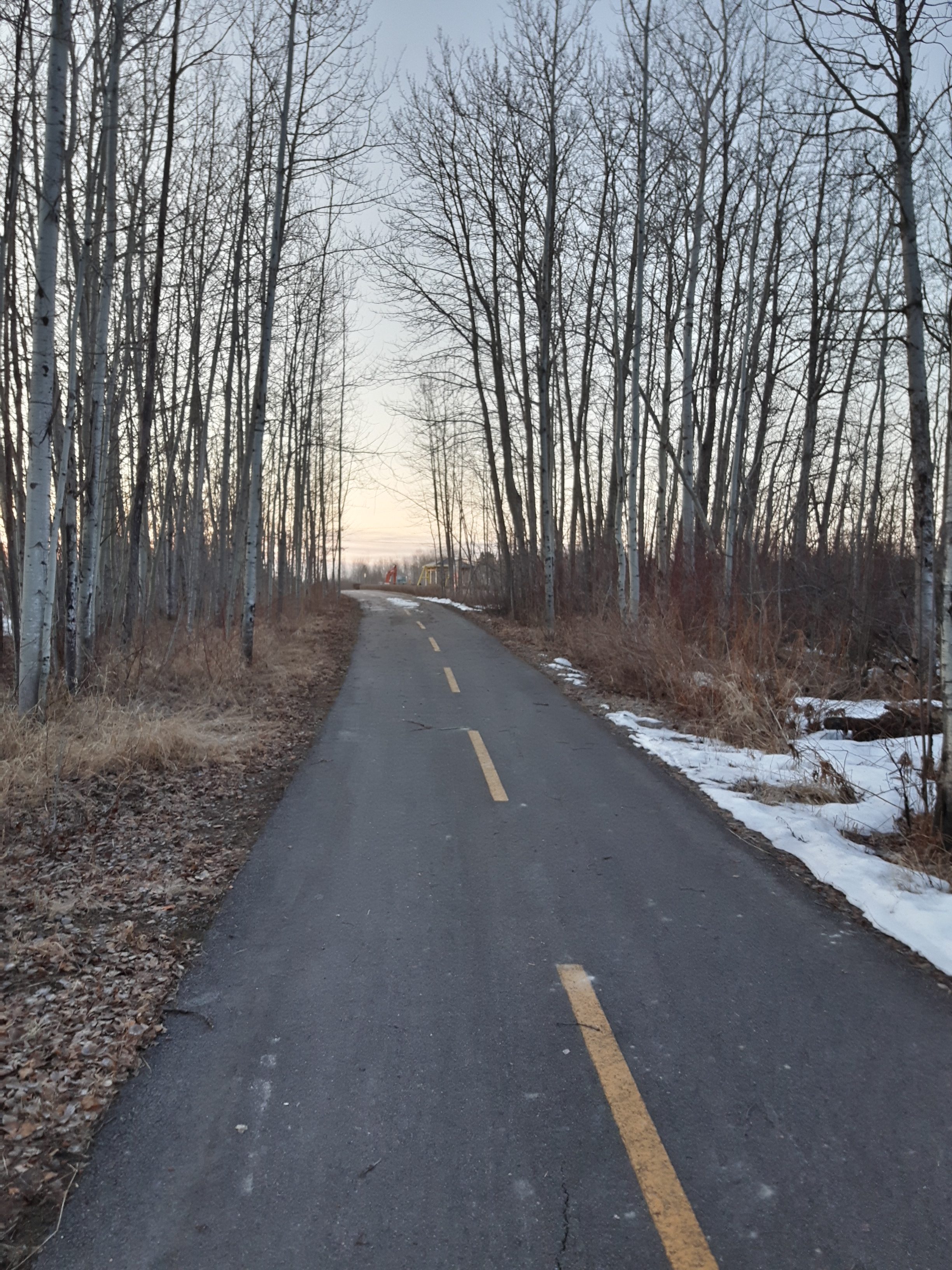 sentier