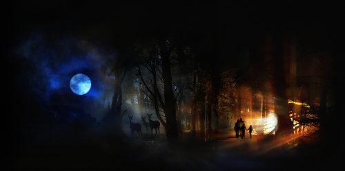 rsz_zoo_sauvage-teaser_mf
